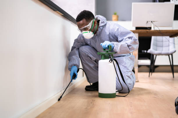 Best Real Estate Pest Inspections  in Rancho Mission Viejo, CA